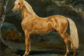 Discover the upcoming auctions